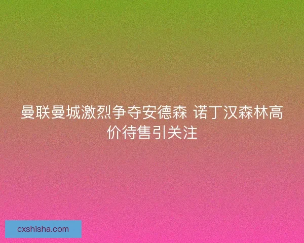 曼联曼城激烈争夺安德森 诺丁汉森林高价待售引关注