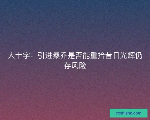 大十字：引进桑乔是否能重拾昔日光辉仍存风险